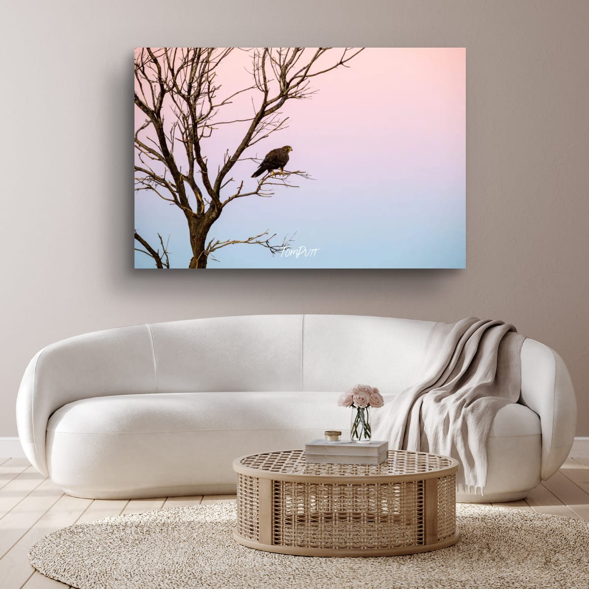 Black Falcon in a Pastel Sky