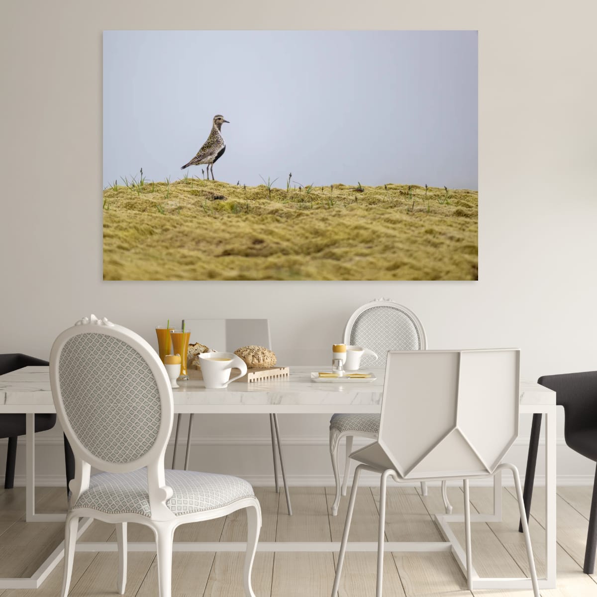 Vigilant Golden Plover