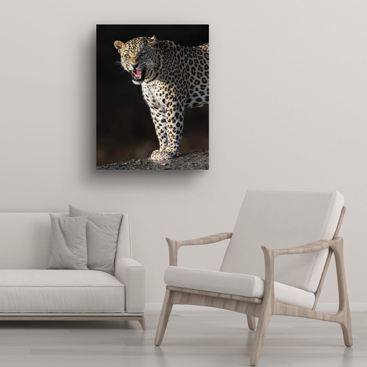 Leopard's Roar, India