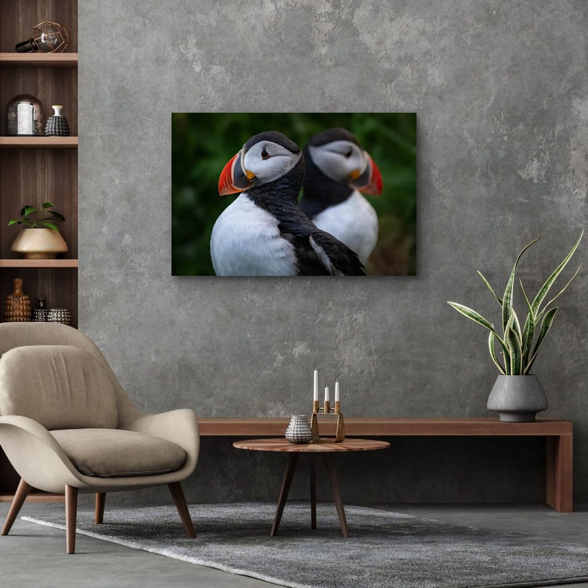 Symmetry. Atlantic Puffin