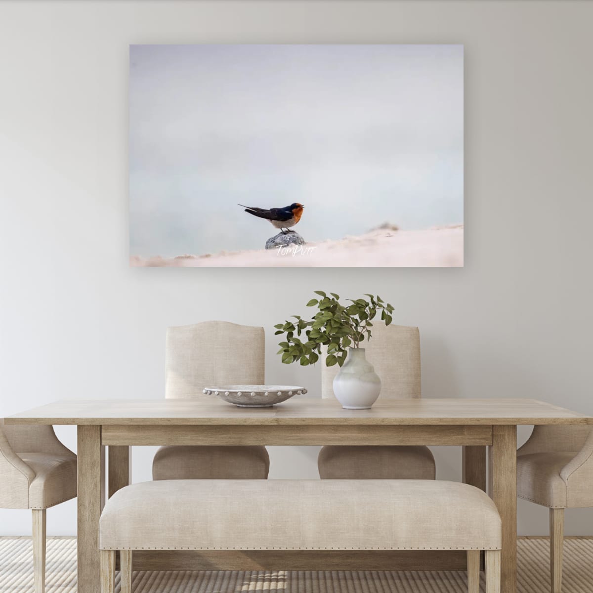 Heron Island Soloist