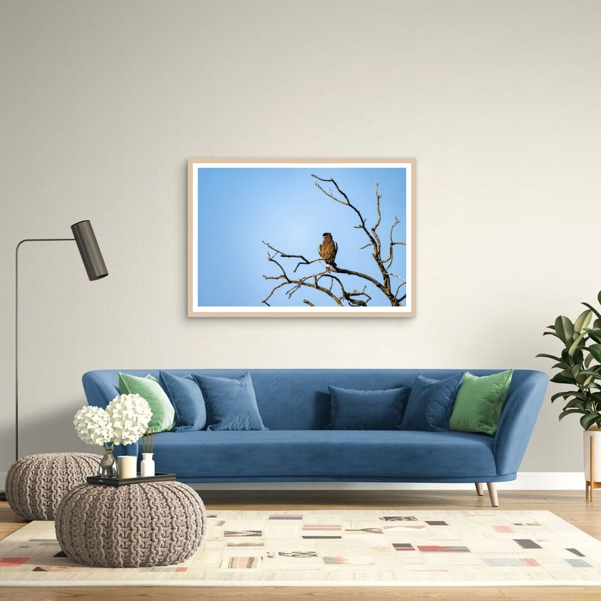 Indian Spotted Eagle