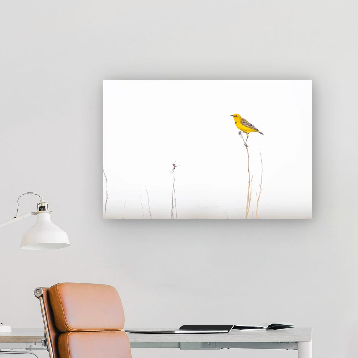 Goldern Perch. Yellow Chat
