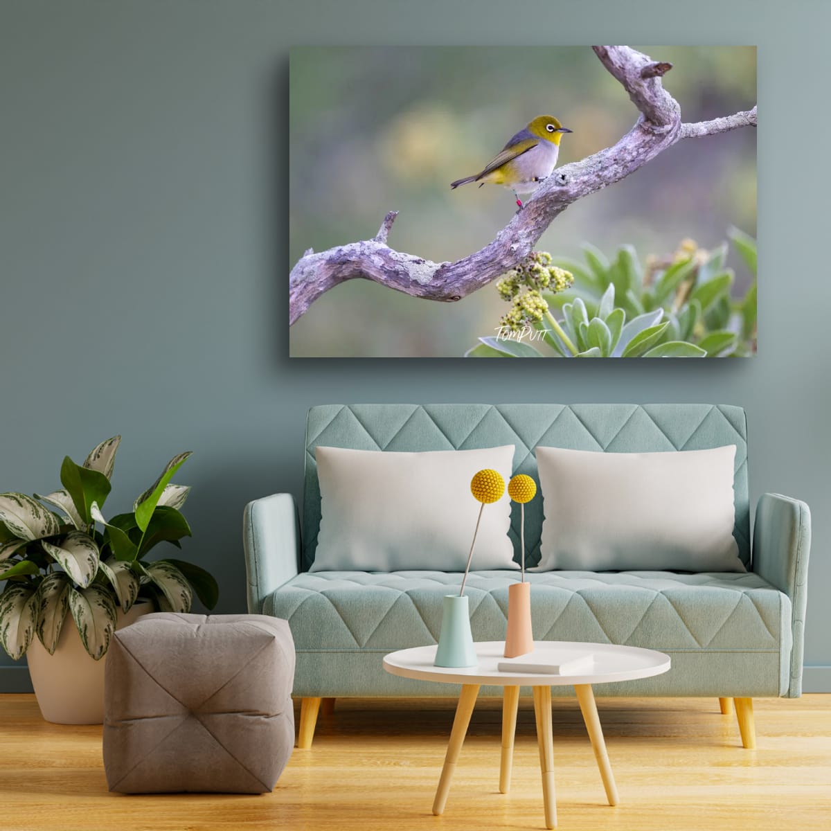 Heron Island Delight