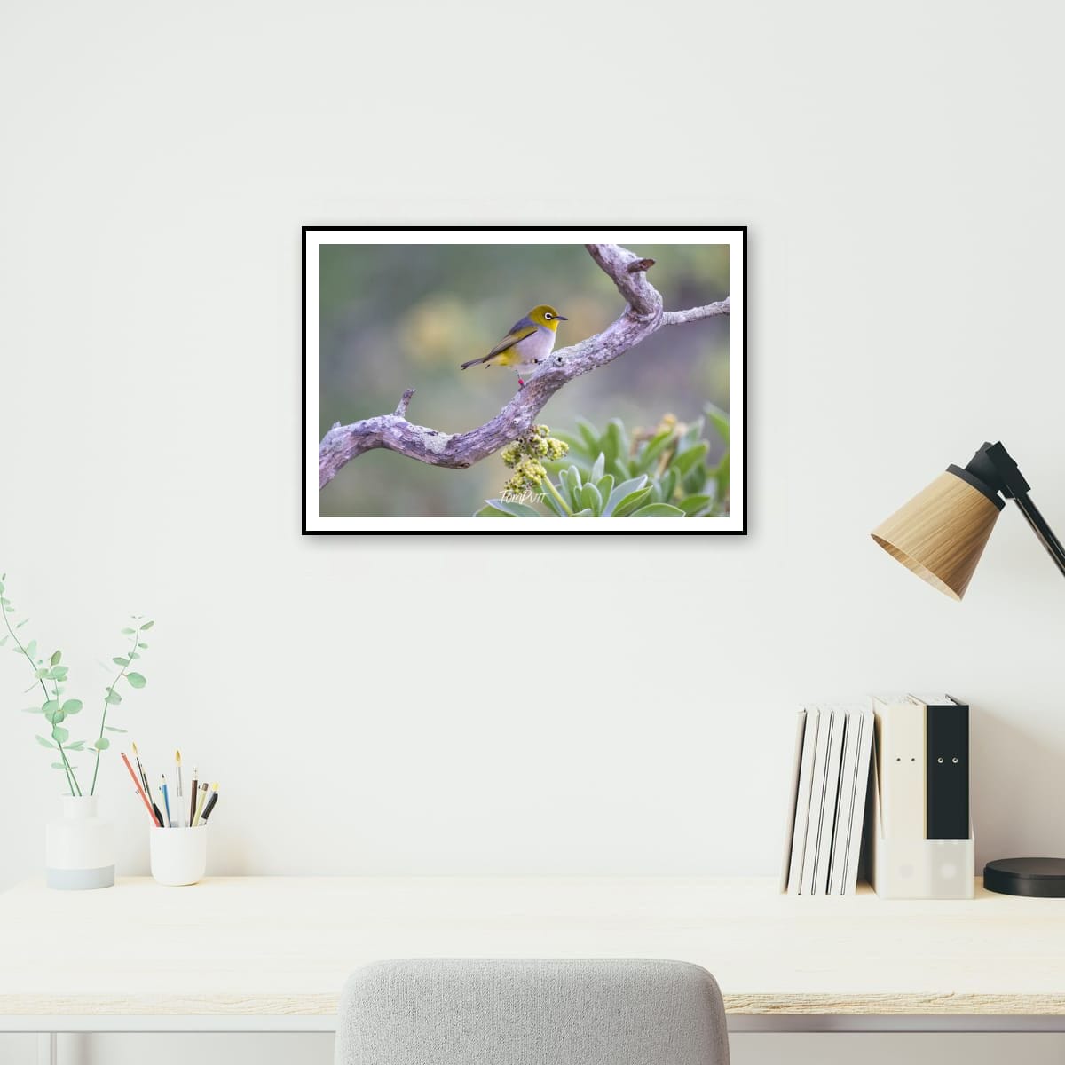 Heron Island Delight