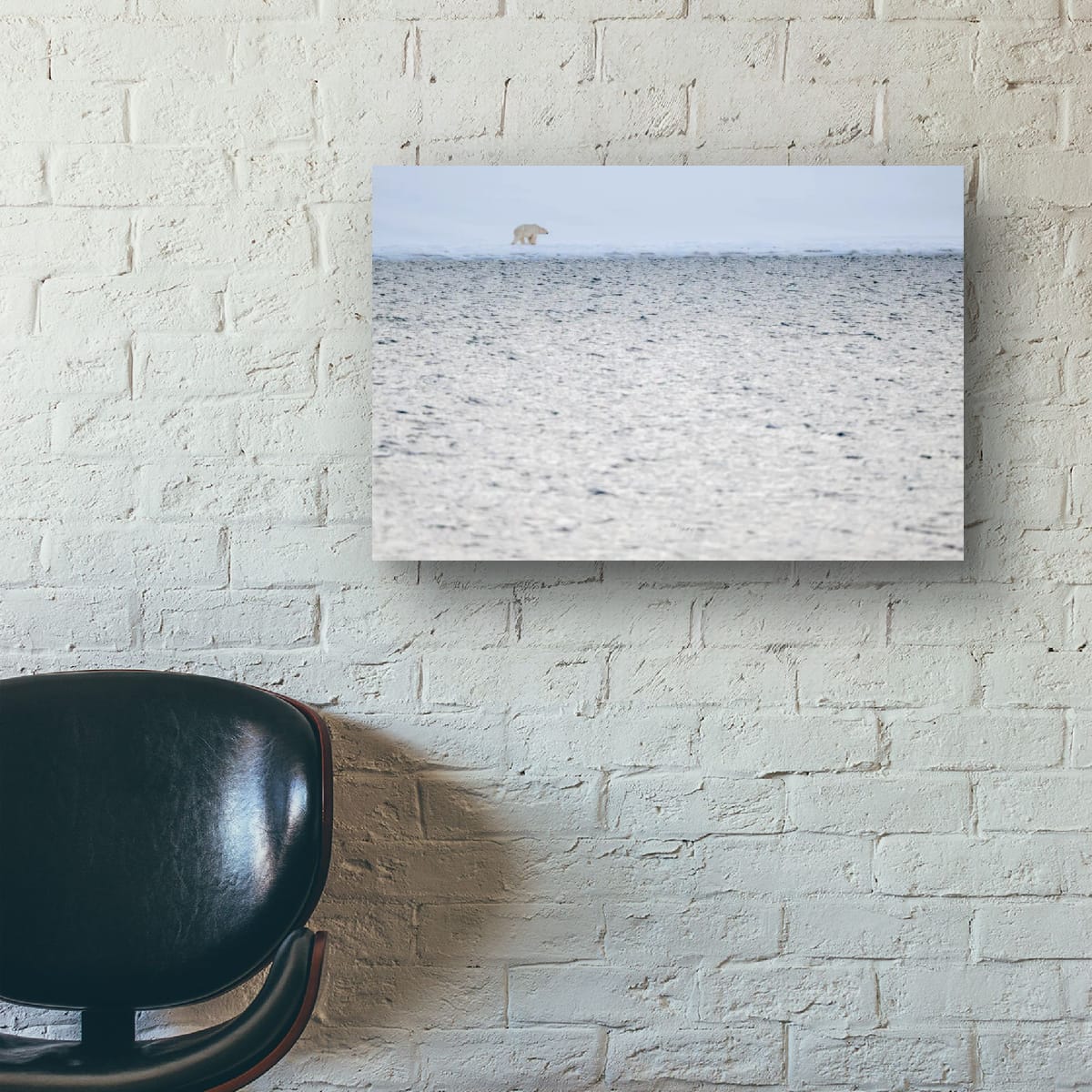 Arctic Wanderer, Svalbard