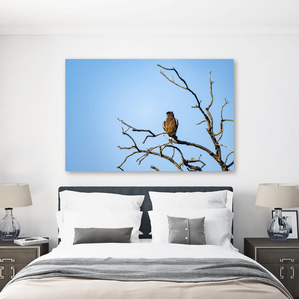 Indian Spotted Eagle