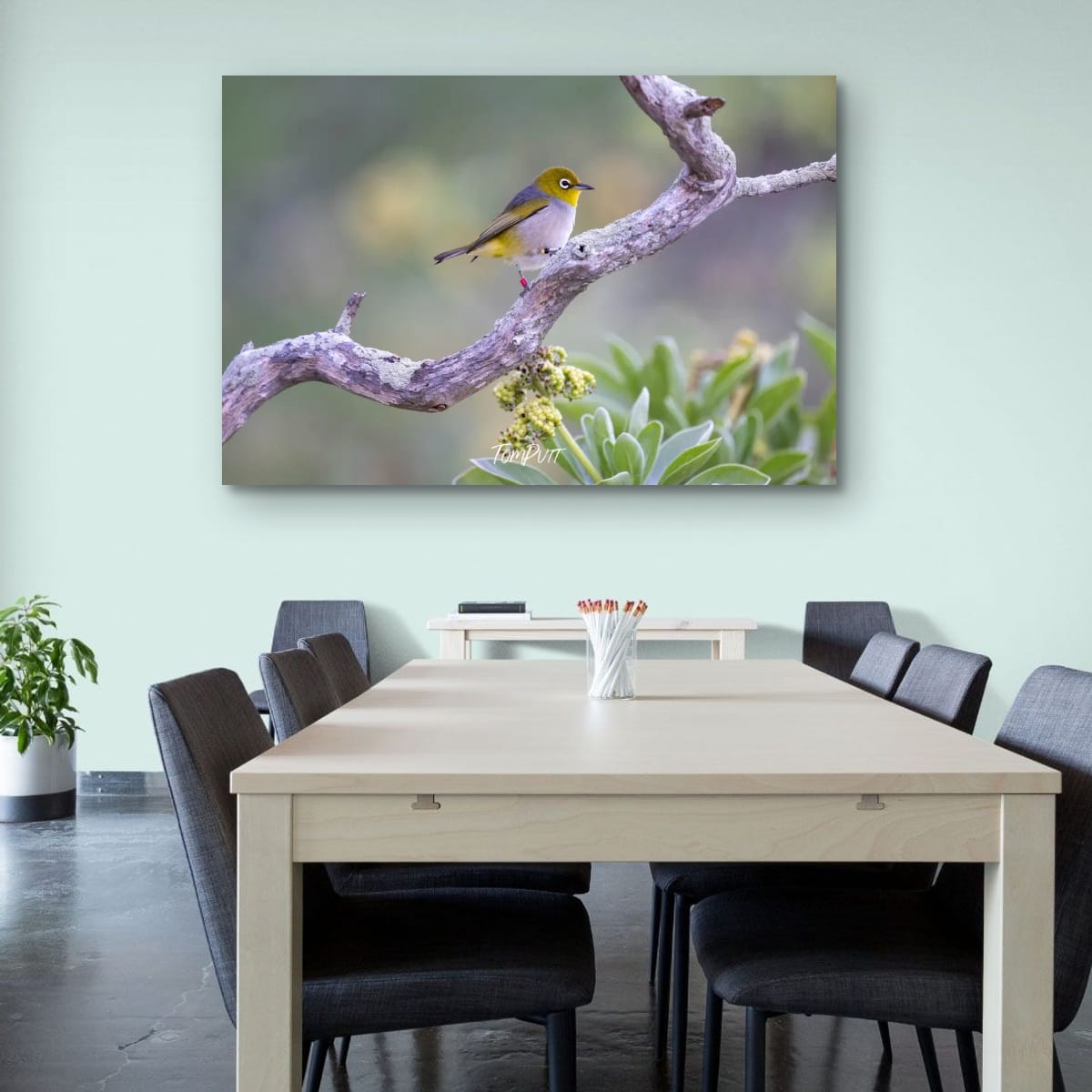 Heron Island Delight