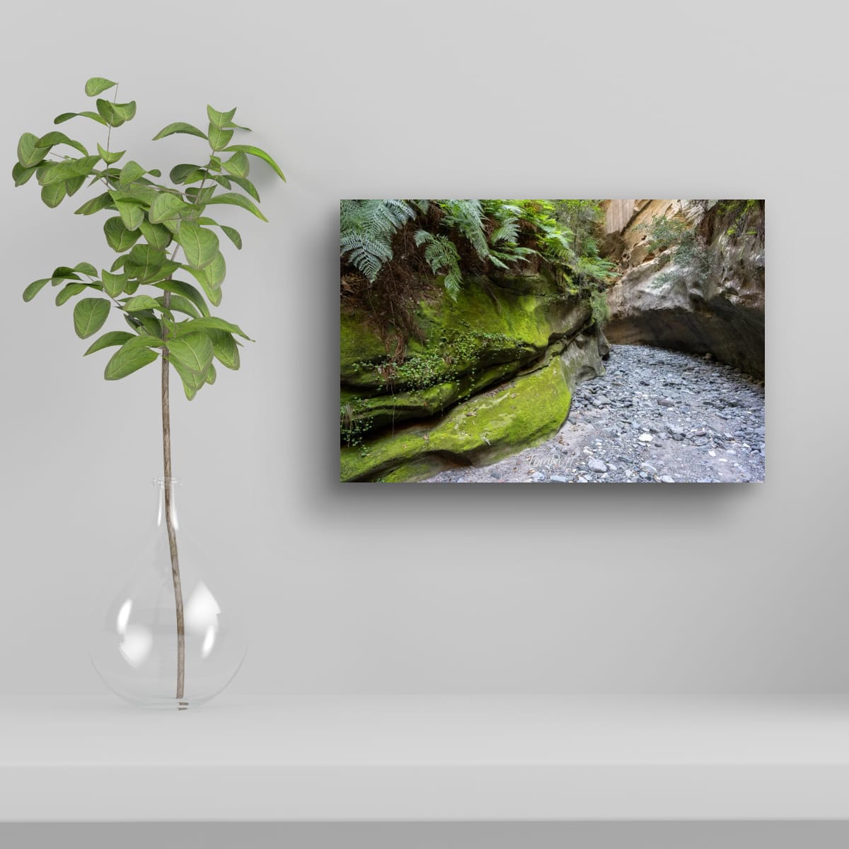 Boowinda Path, Carnarvon Gorge