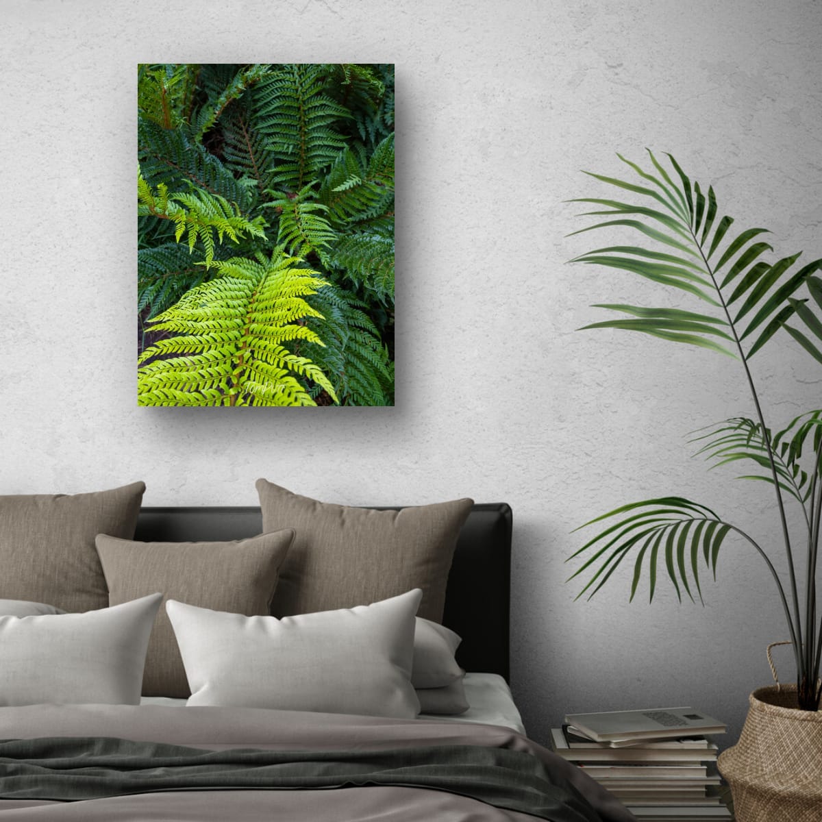 Lush Ferns, Mt Baw Baw