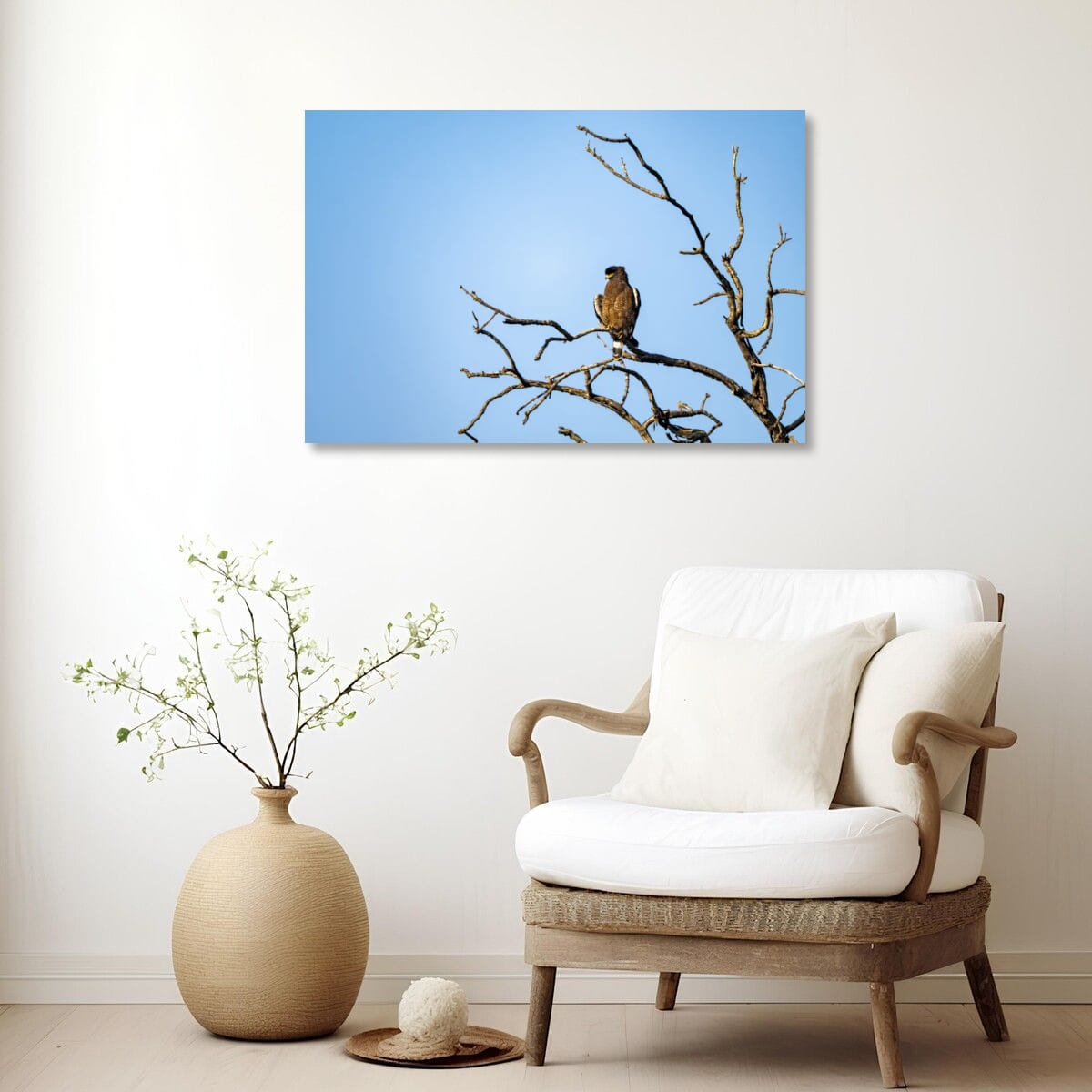 Indian Spotted Eagle