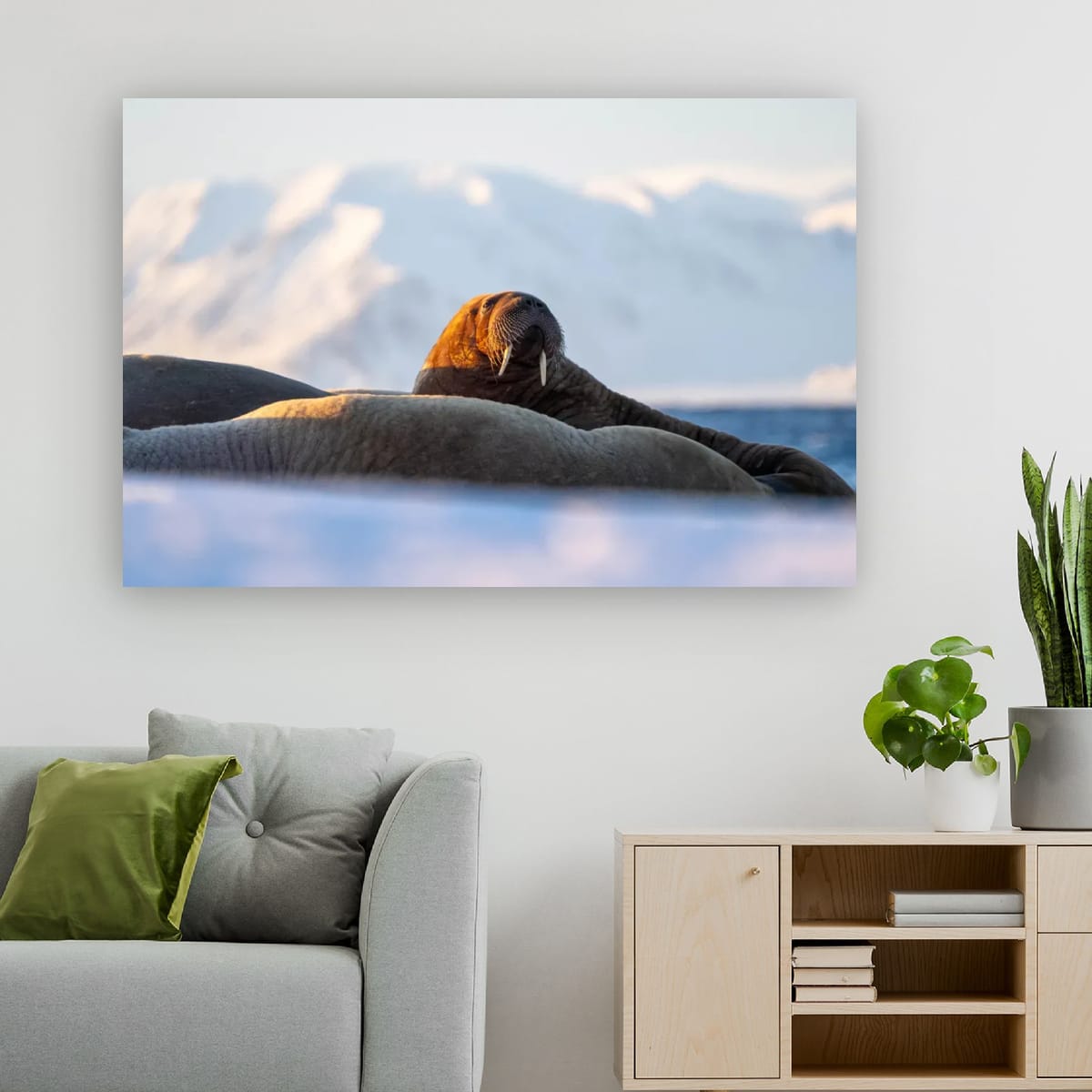 Svalbard Sentinel