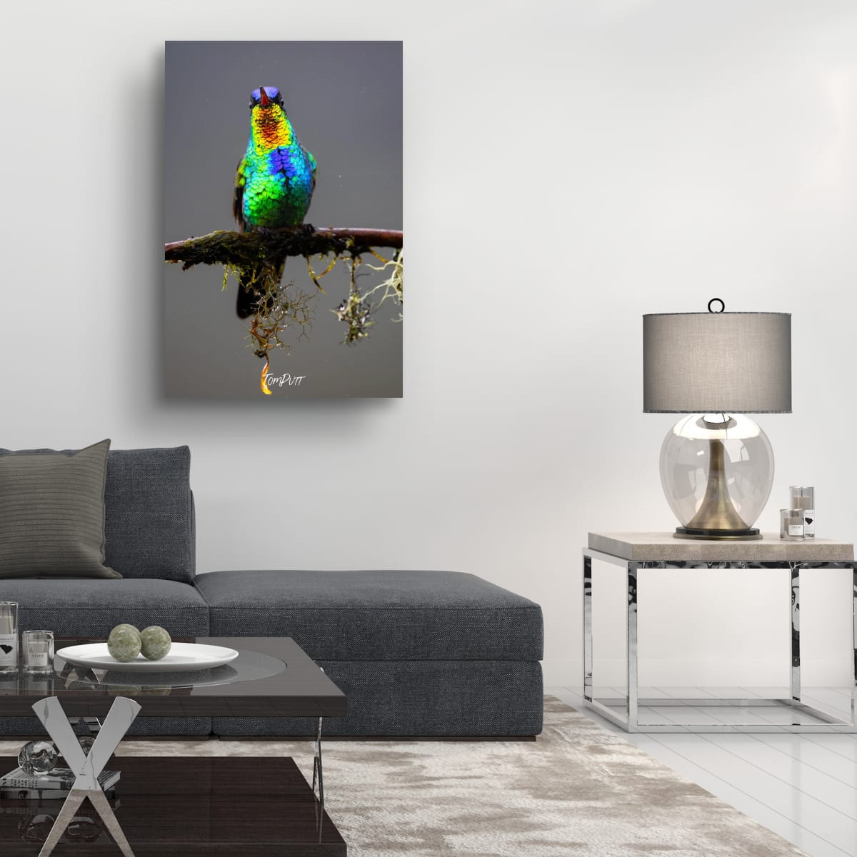 Fiery-throated Hummingbird #2, Costa Rica