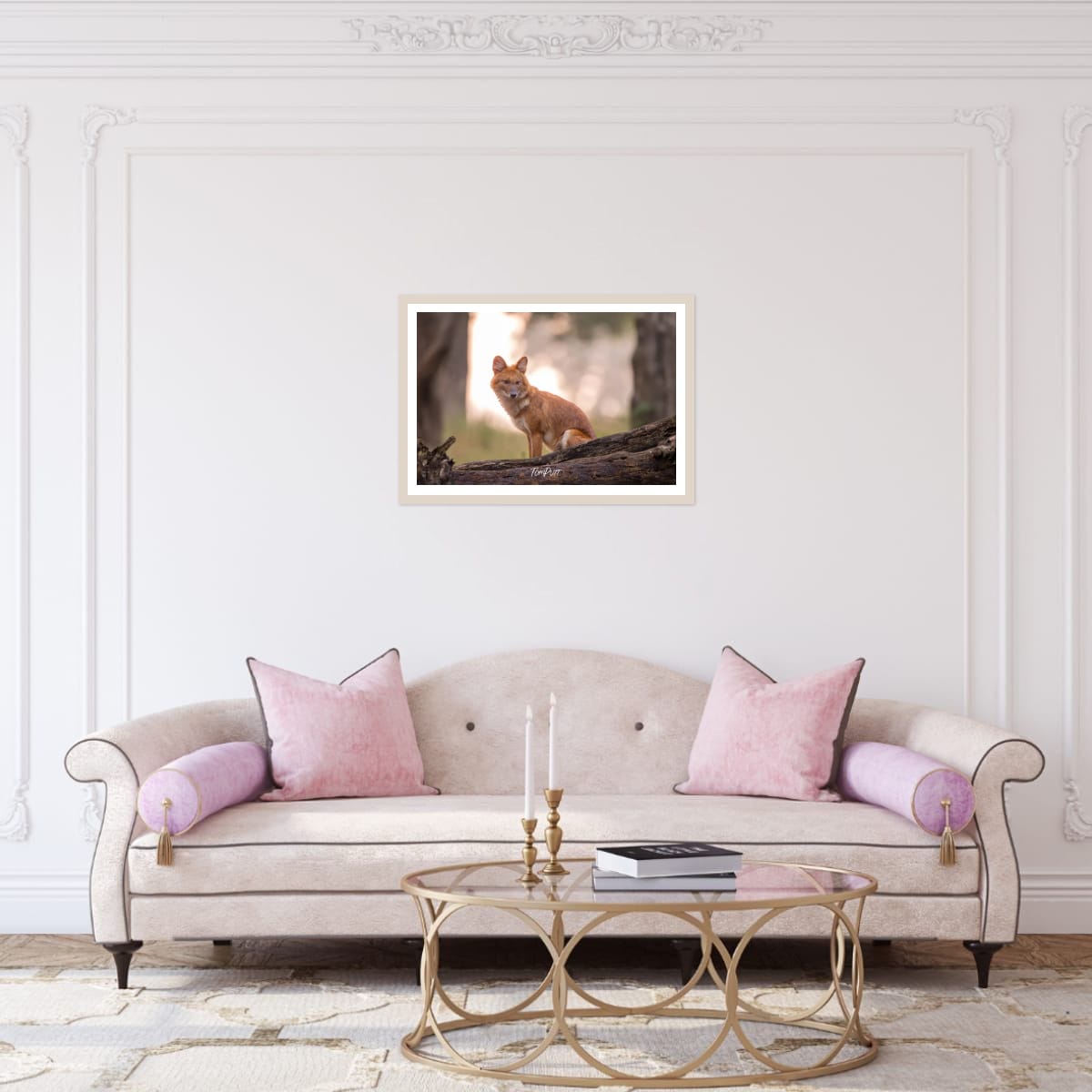 Indian Wild Dog Waiting