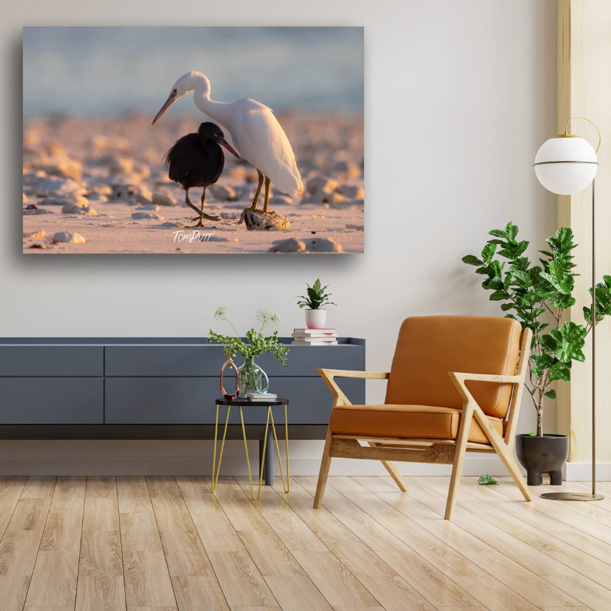 Shoreline Companionship