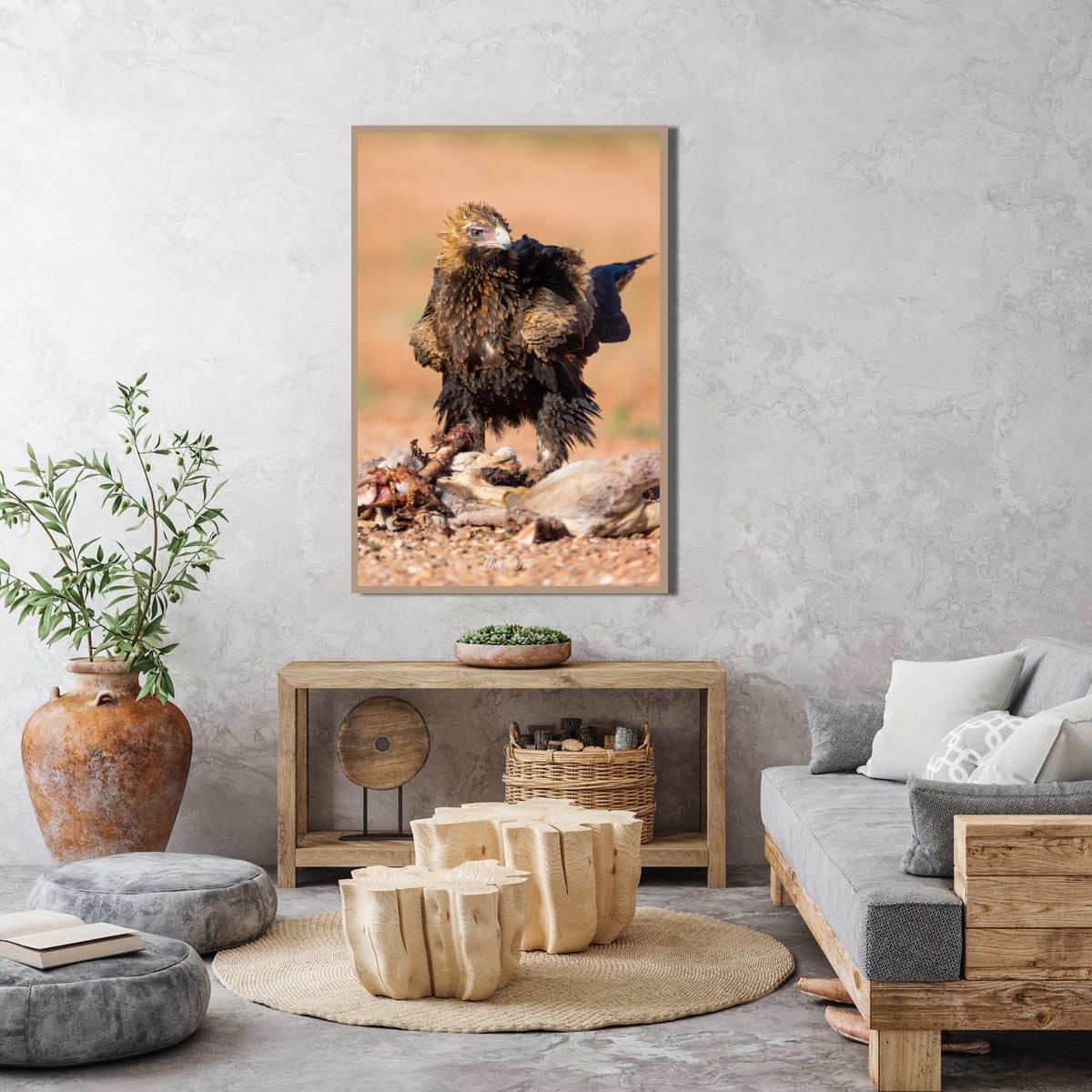Predator. Wedge-Tailed Eagle