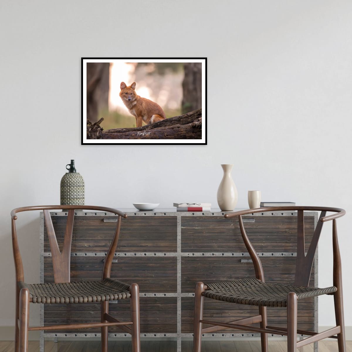 Indian Wild Dog Waiting