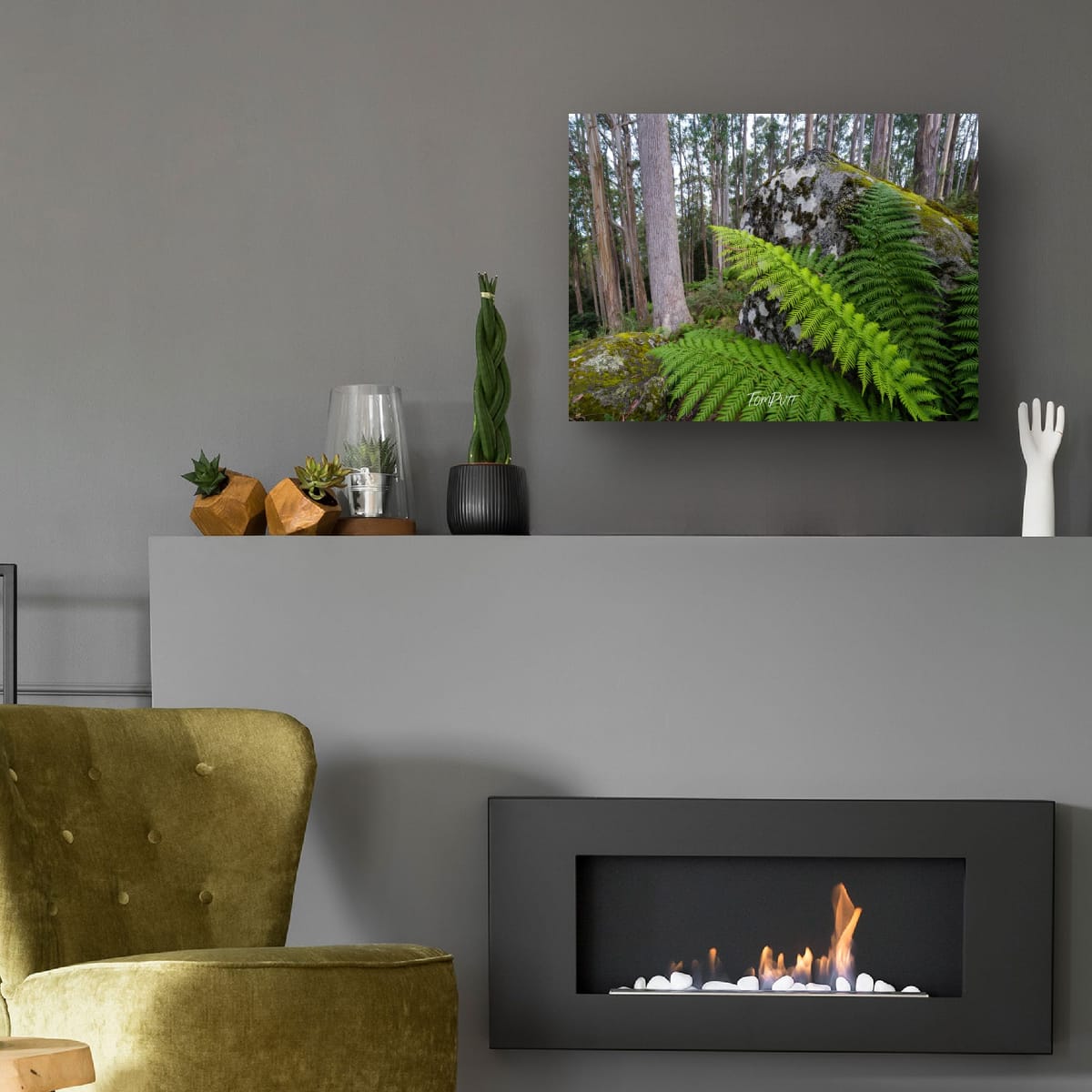Forest Giants, Mt Baw Baw
