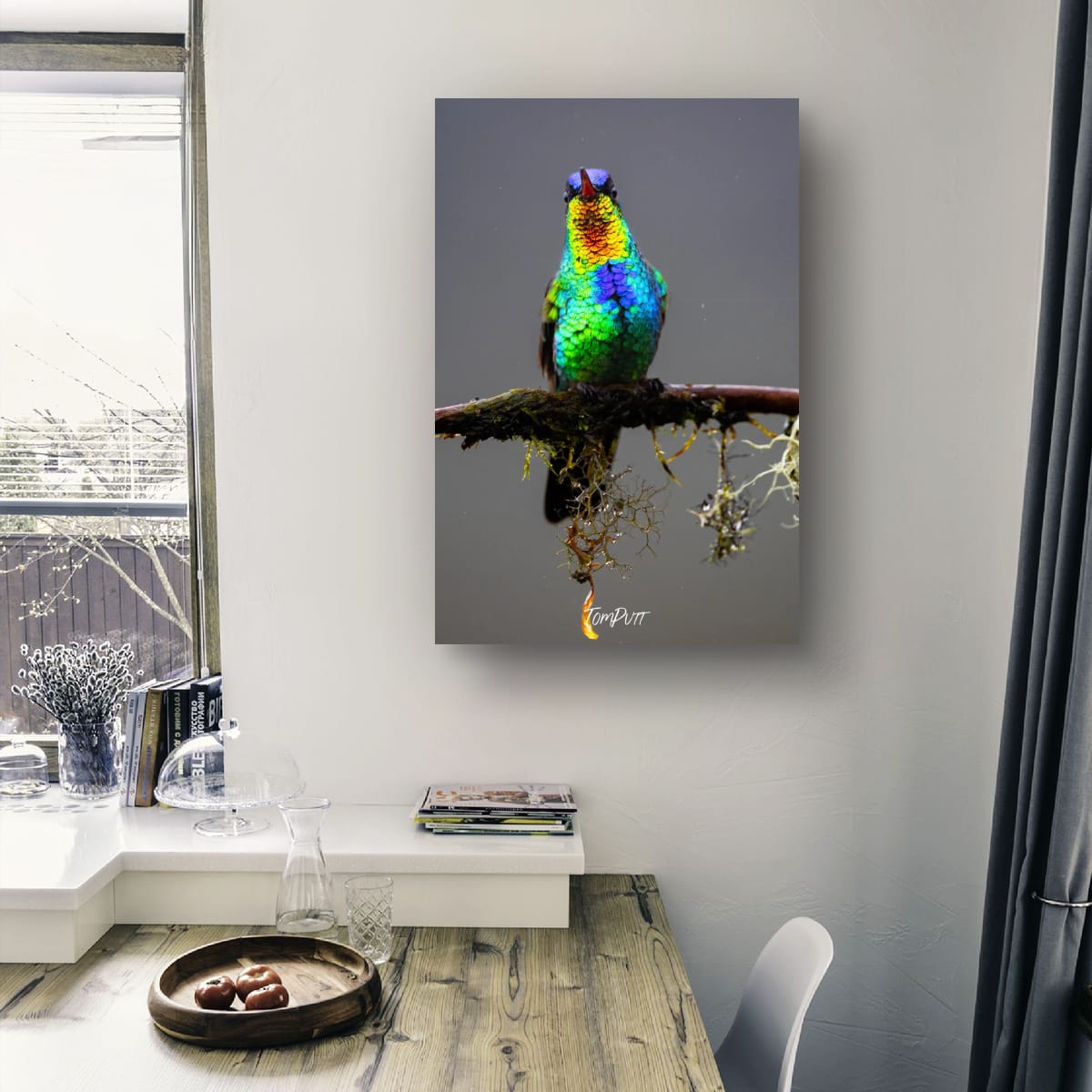 Fiery-throated Hummingbird #2, Costa Rica