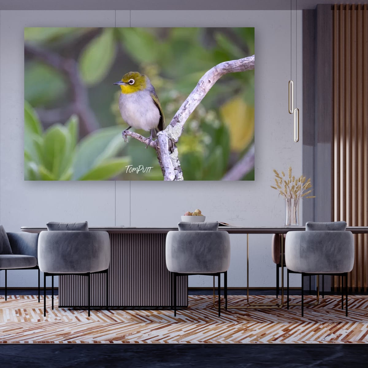 Silvereye Sentinel