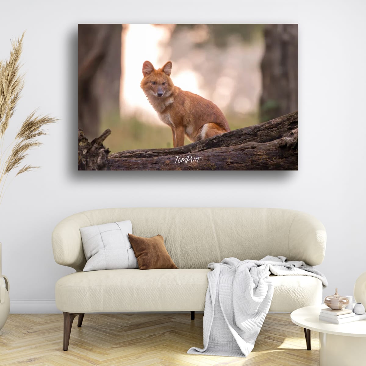 Indian Wild Dog Waiting