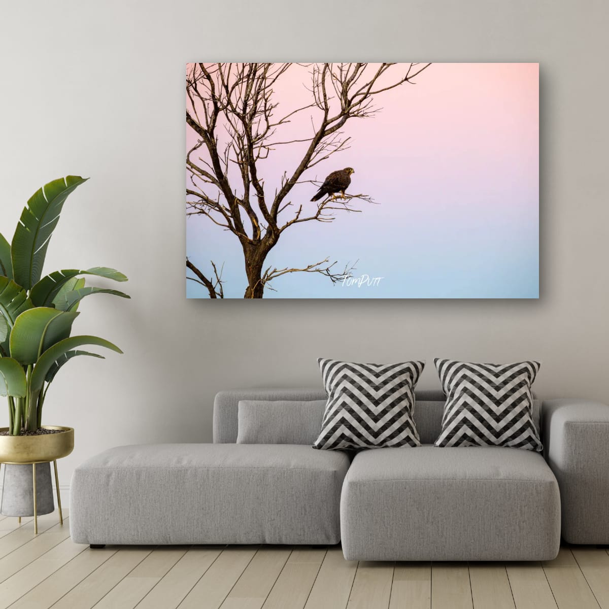 Black Falcon in a Pastel Sky