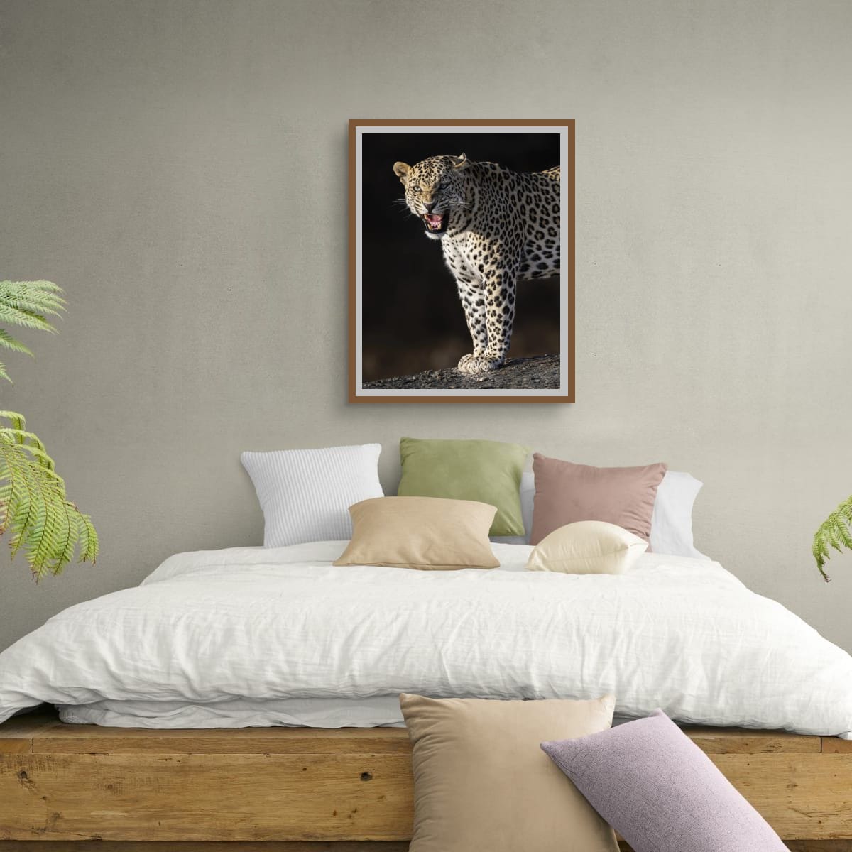 Leopard's Roar, India