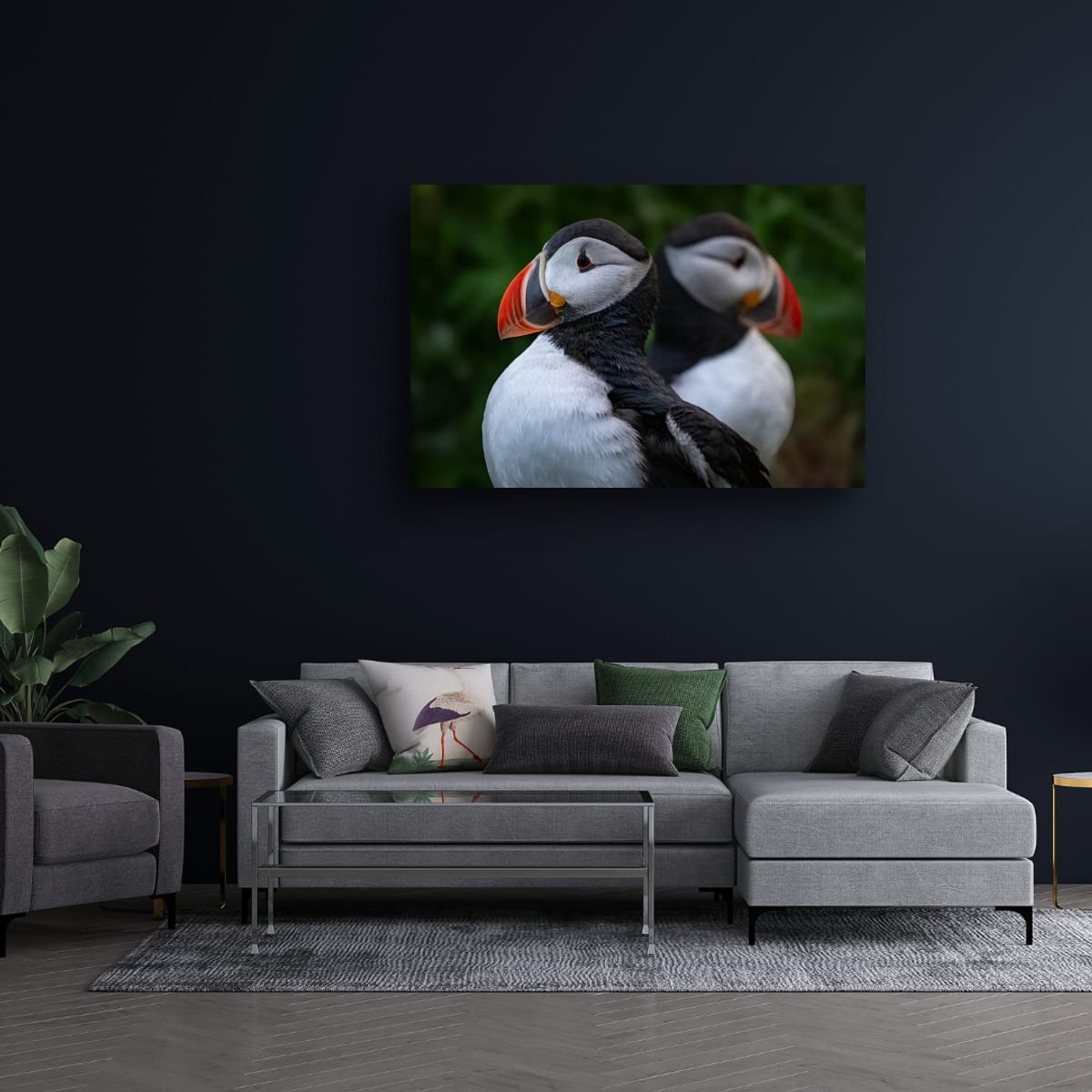 Symmetry. Atlantic Puffin