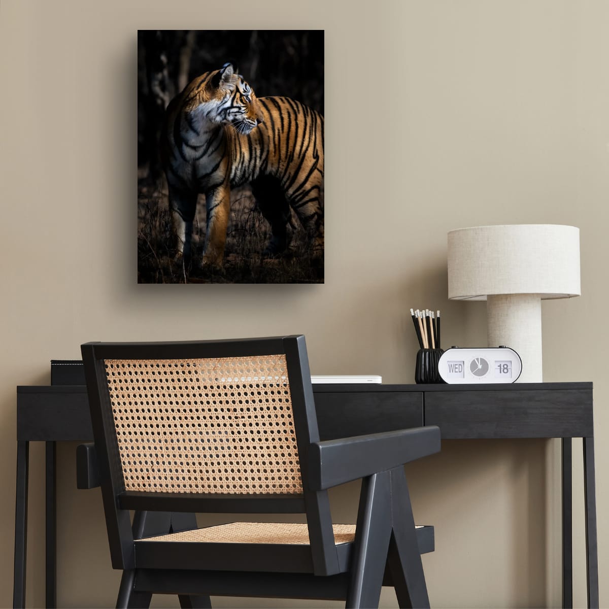 Stripes in the Shadows, India