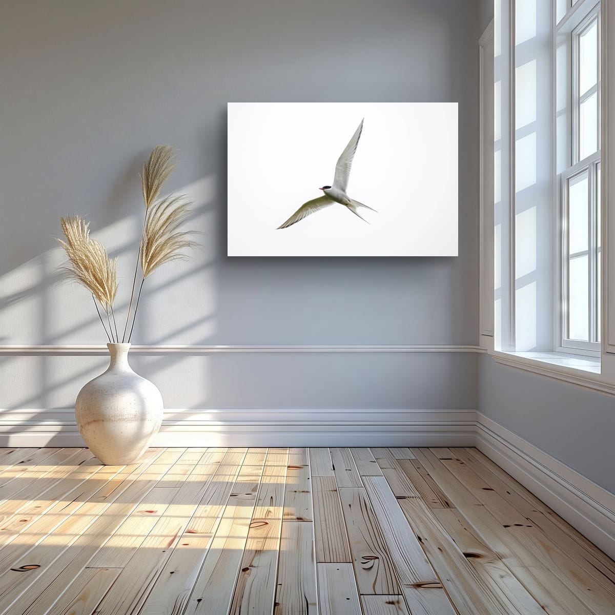 Iceland Gliding Arctic Tern