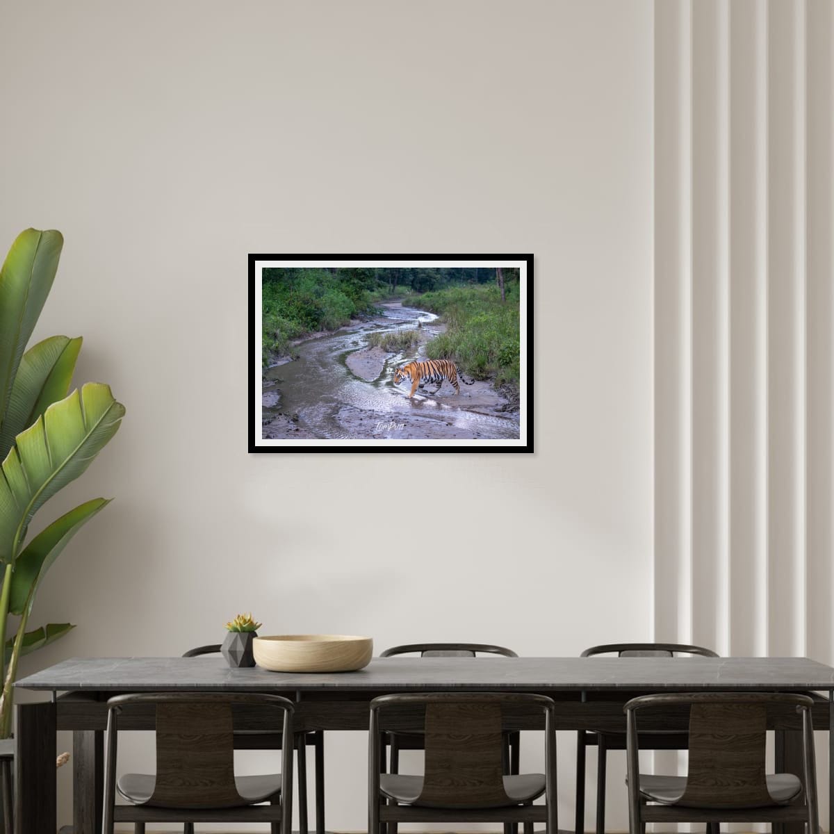 Tiger Crossing, India