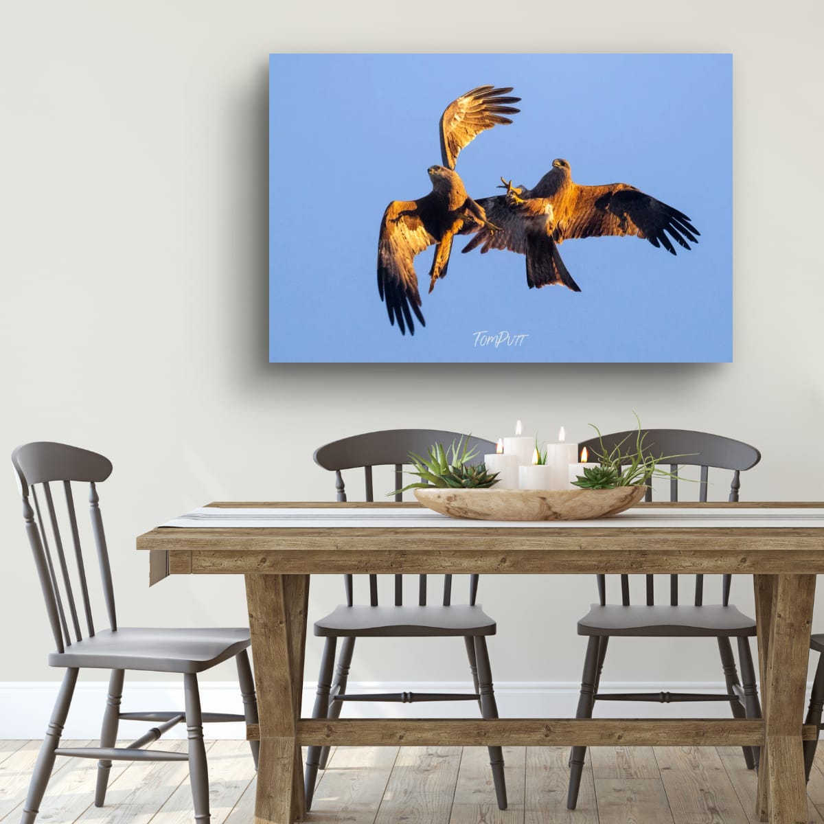 Sky Fight, Black Kite