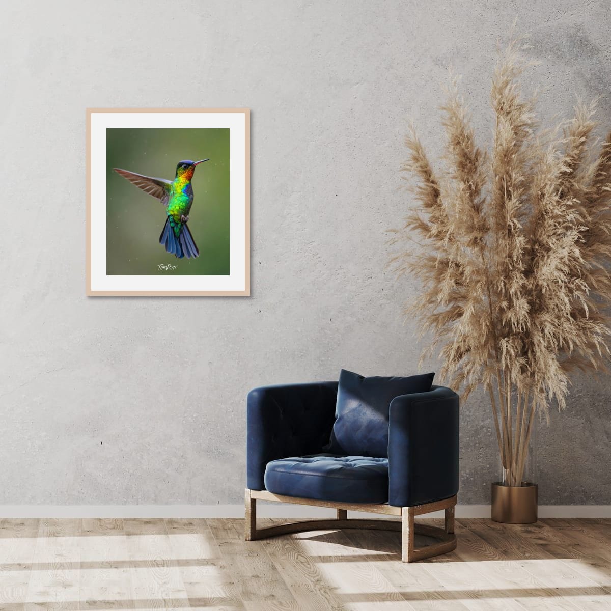 Fiery-throated Hummingbird, Costa Rica