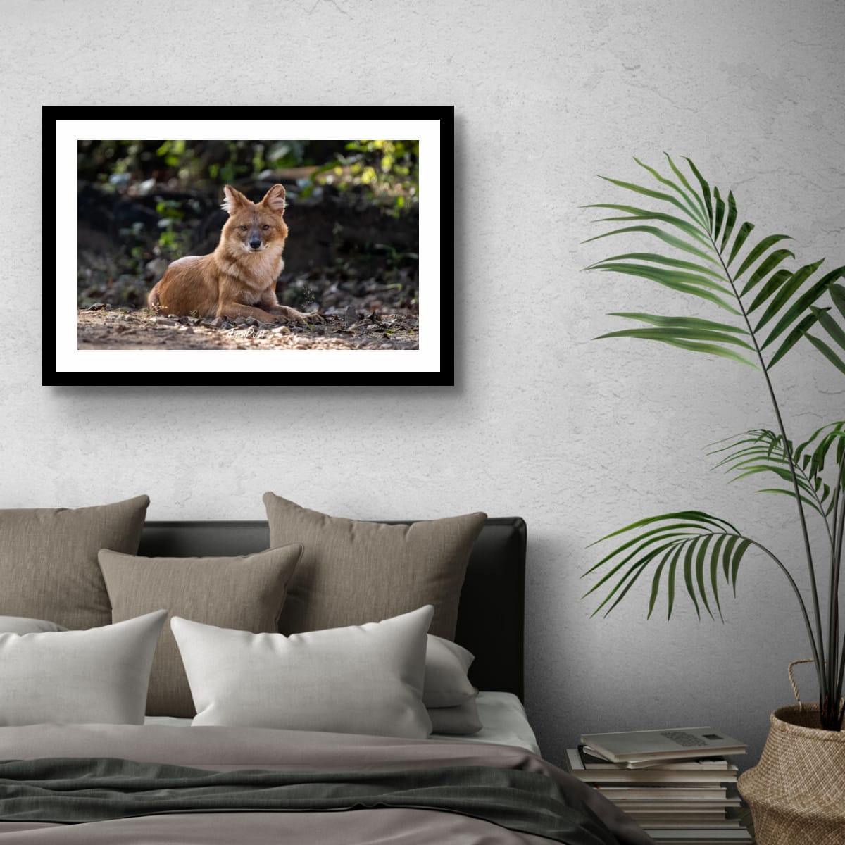 Gaze of the Indian Wild Dog