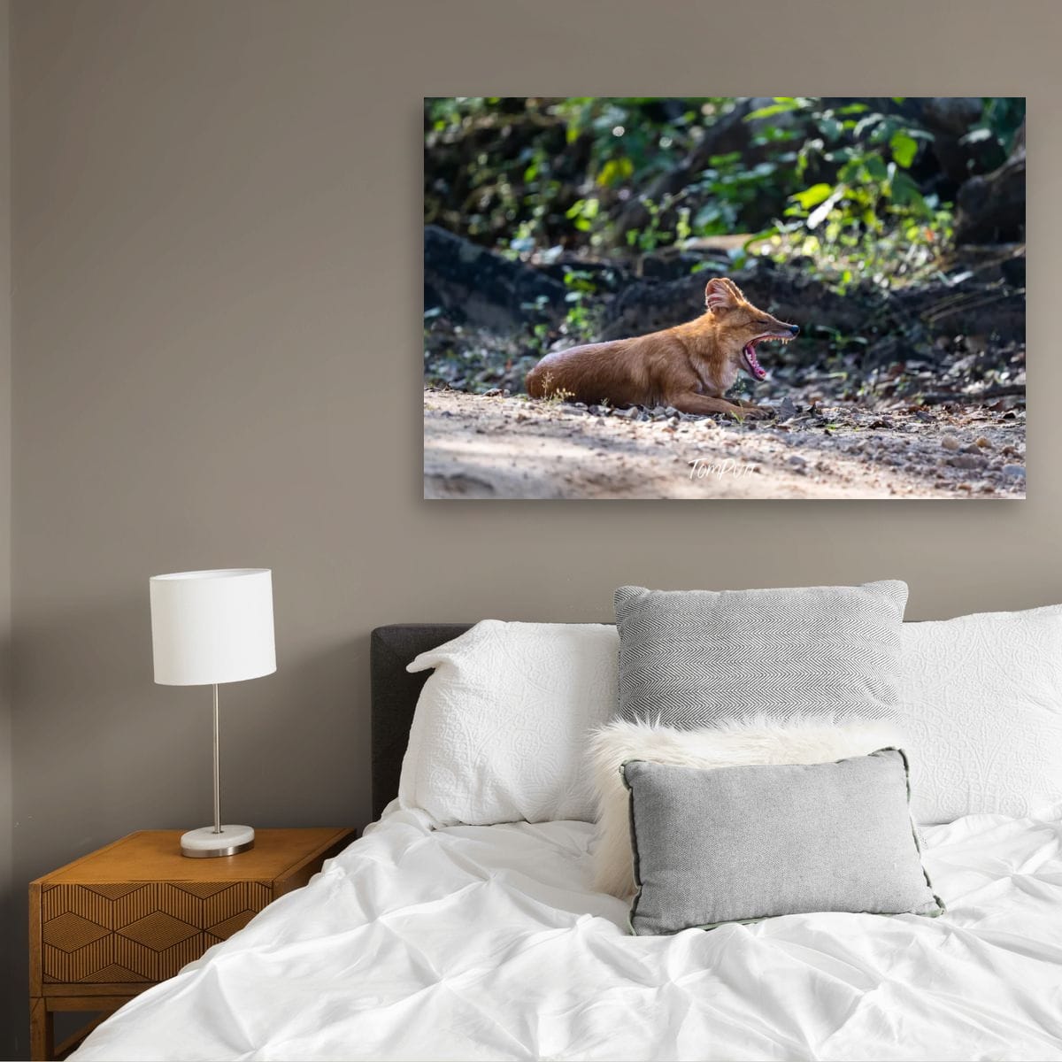 Big Yawn: Indian Wild Dog