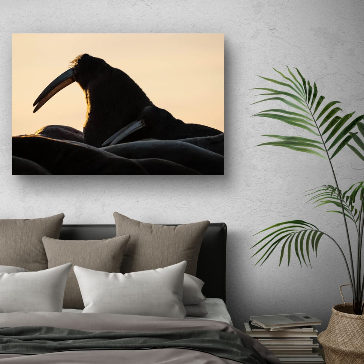 Walrus Sunset, Svalbard