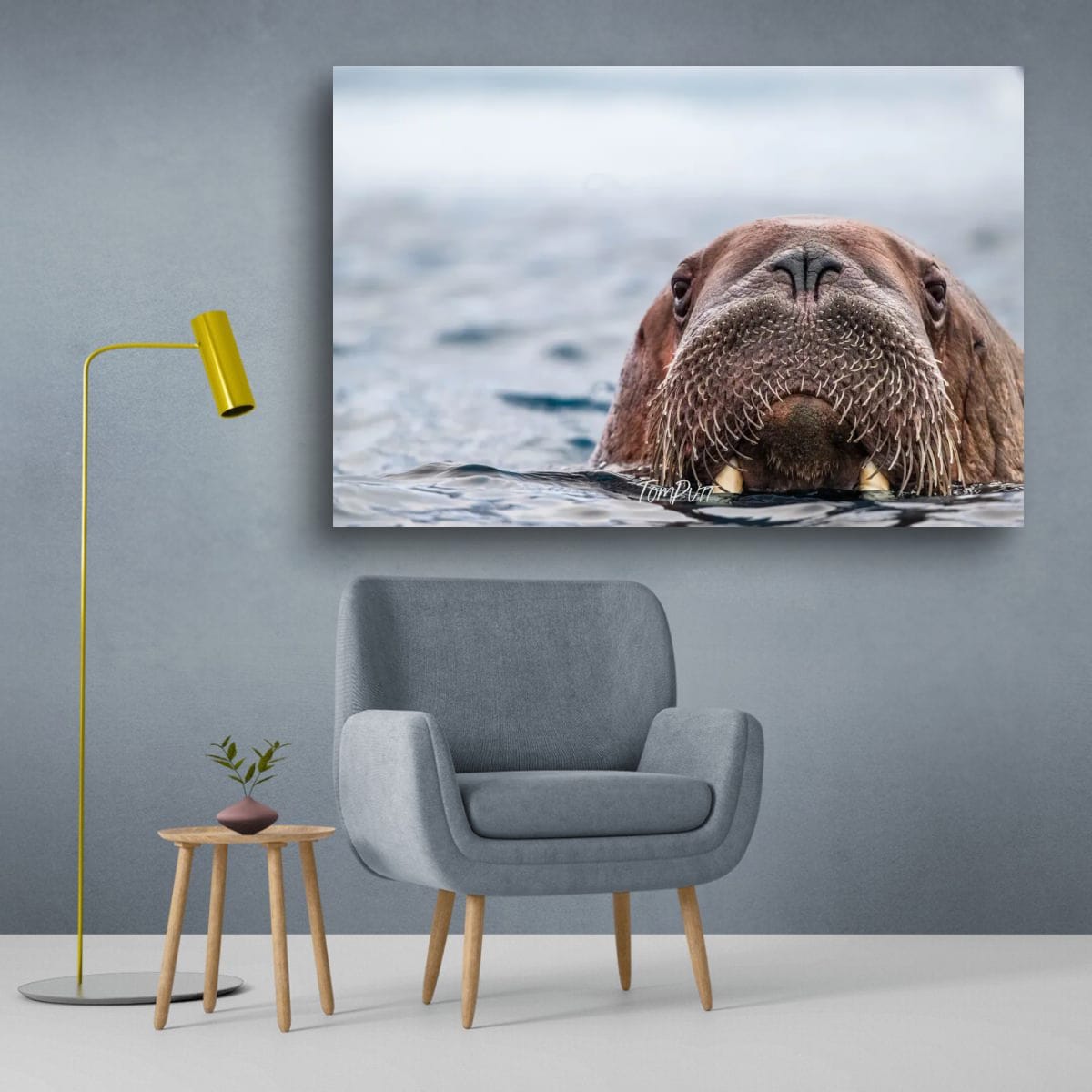 Walrus Approaching, Svalbard