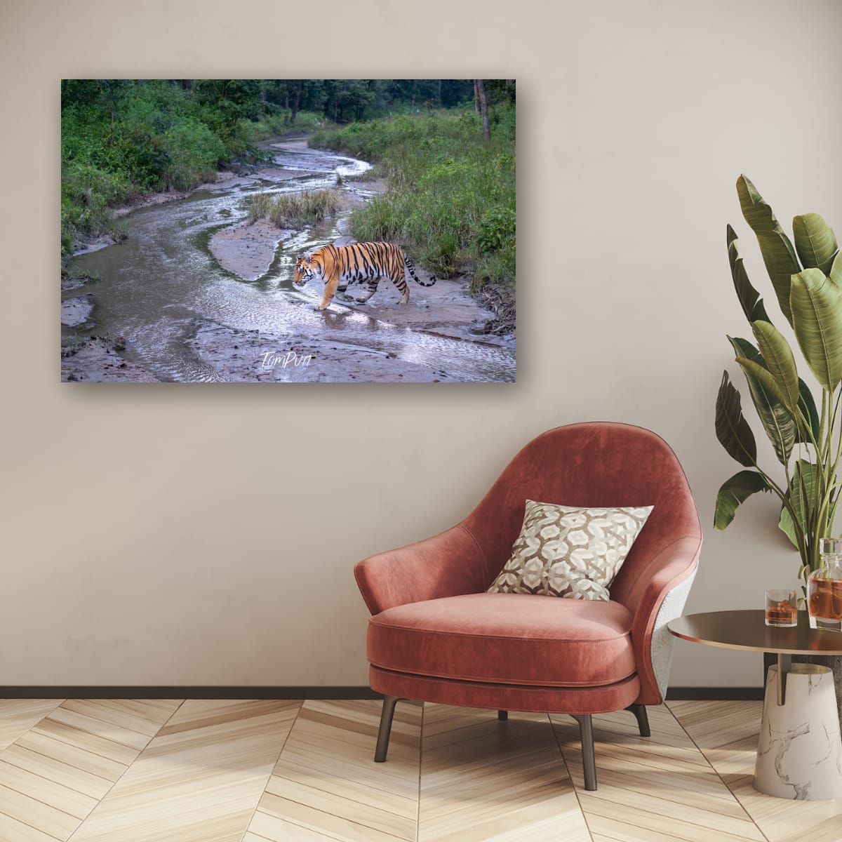 Tiger Crossing, India