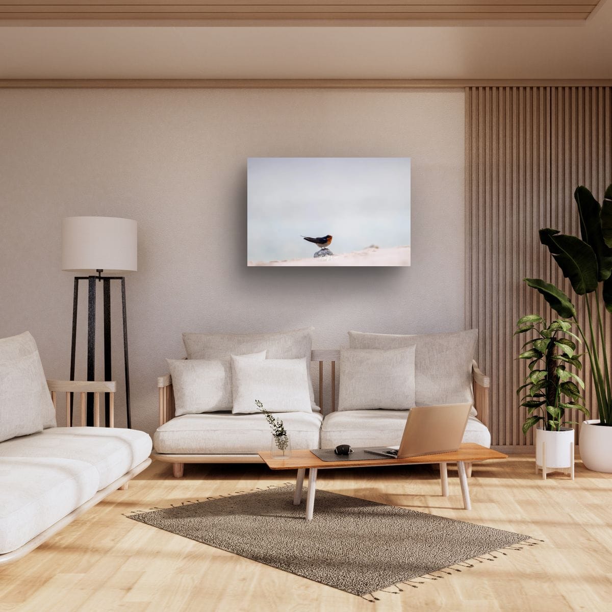 Heron Island Soloist