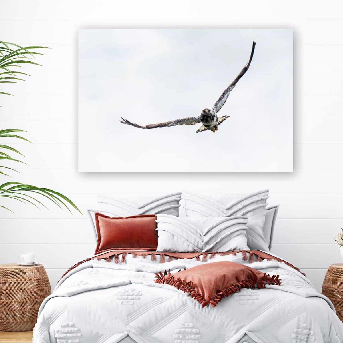 Locked On. Rough-Legged Hawk