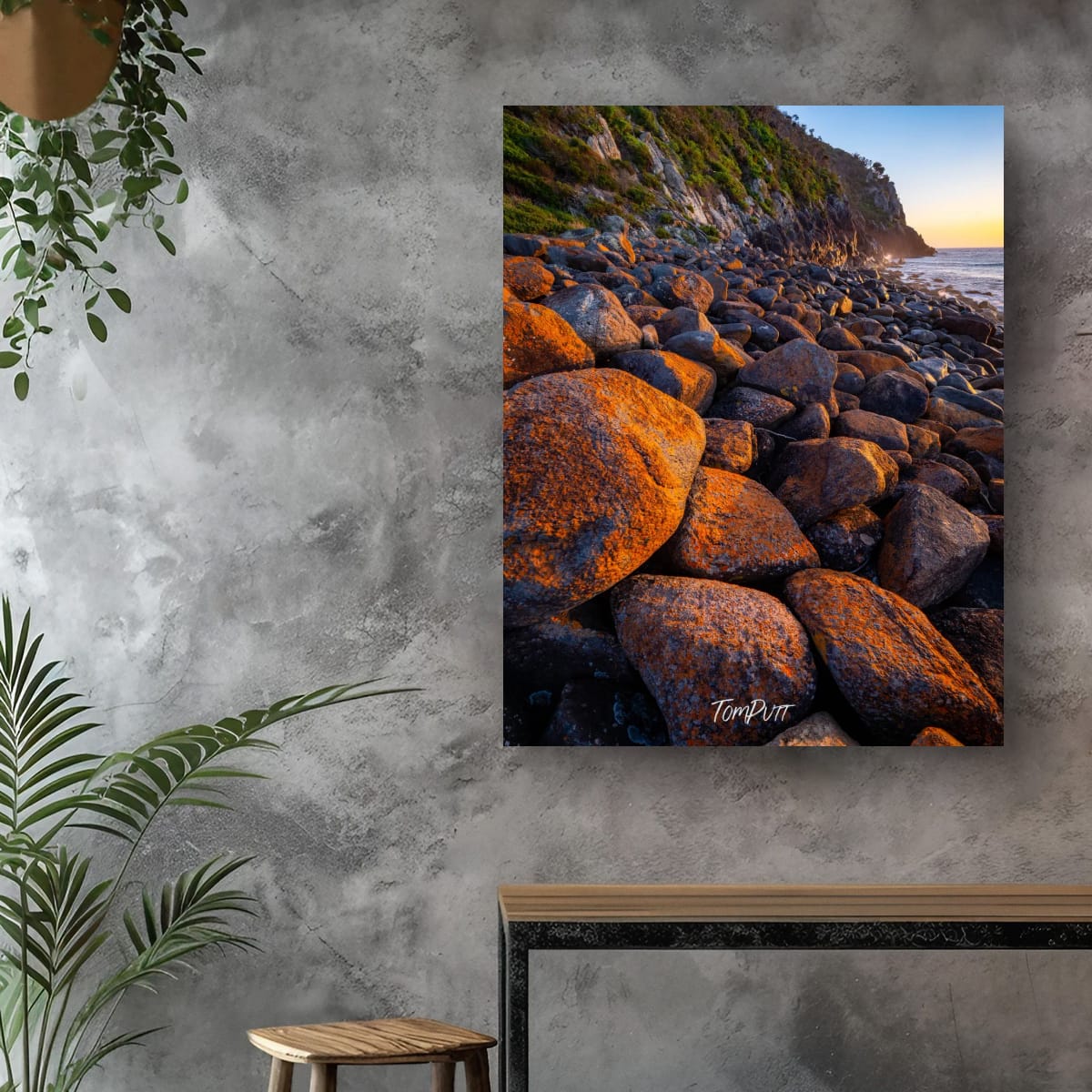 Coastal Glow, Nelson Bay
