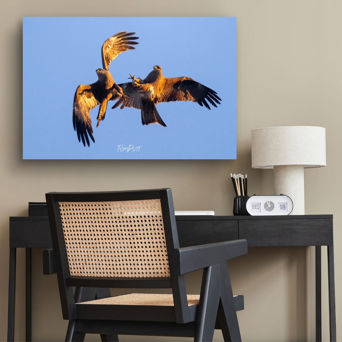 Sky Fight, Black Kite