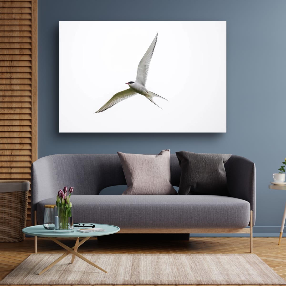 Iceland Gliding Arctic Tern