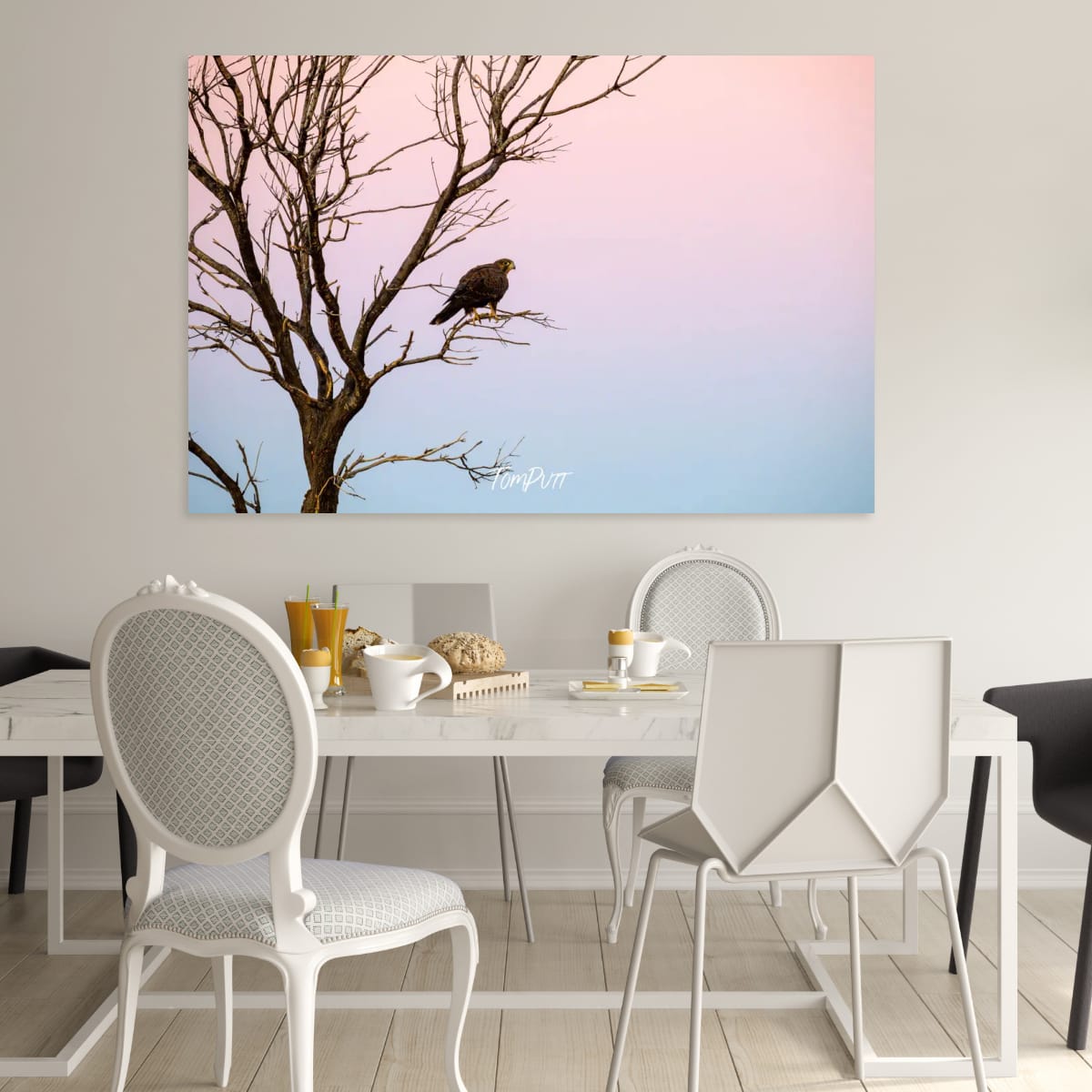 Black Falcon in a Pastel Sky