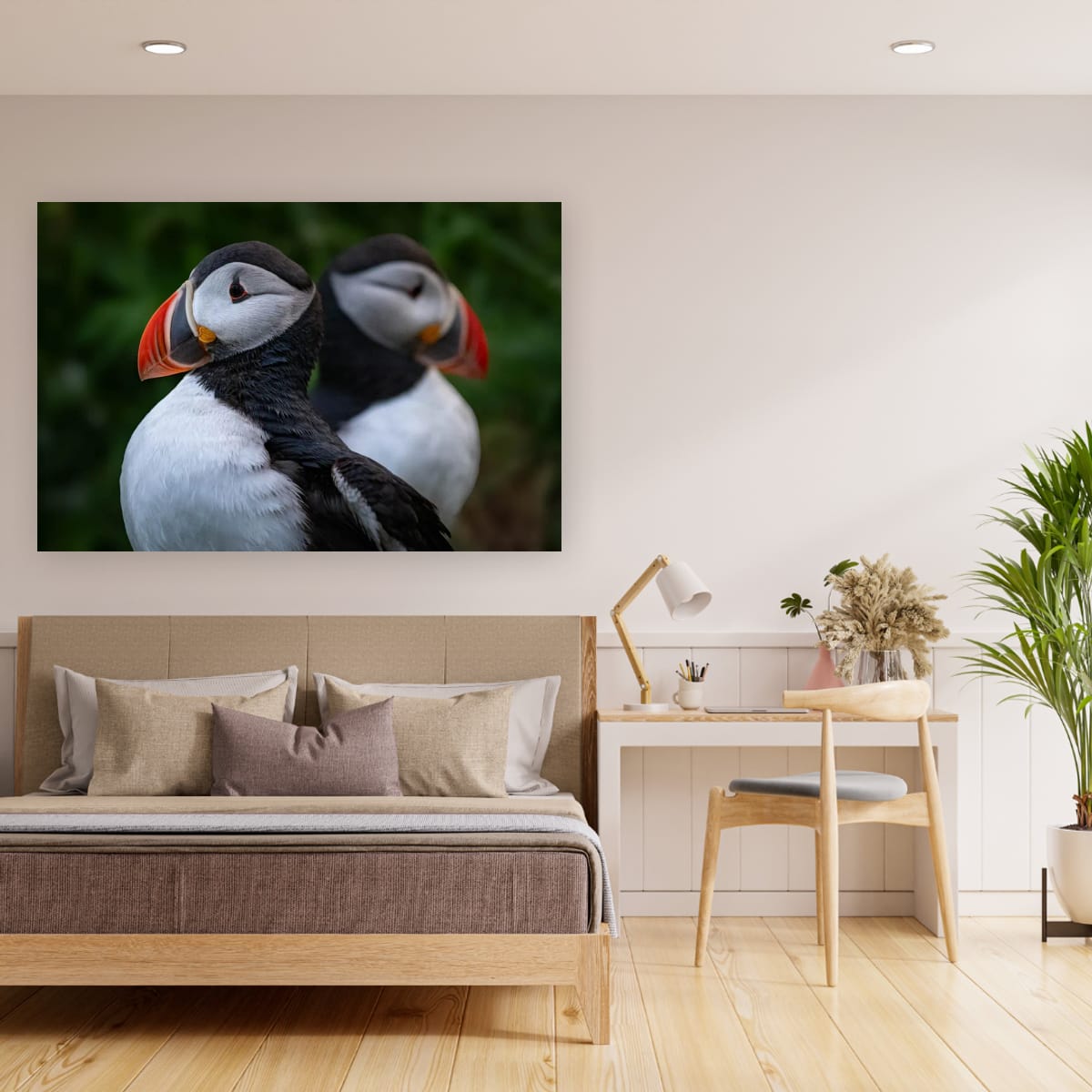 Symmetry. Atlantic Puffin