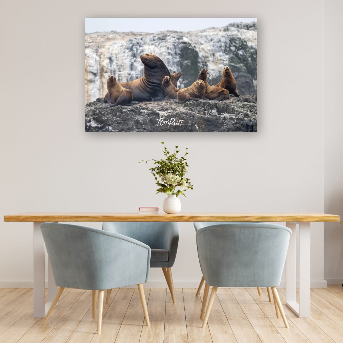 Family Portrait: Sea Lion