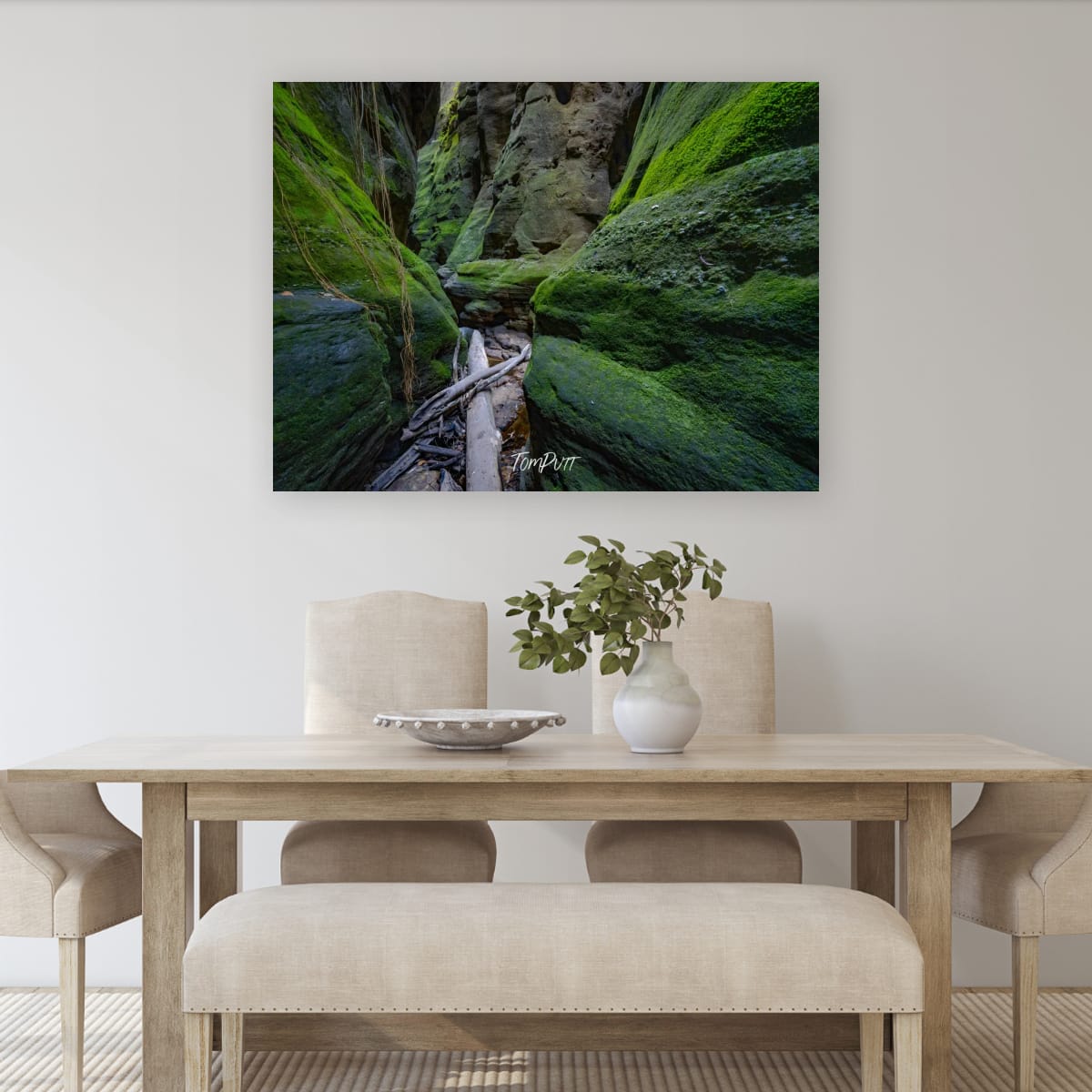 Green Passage, Carnarvon Gorge