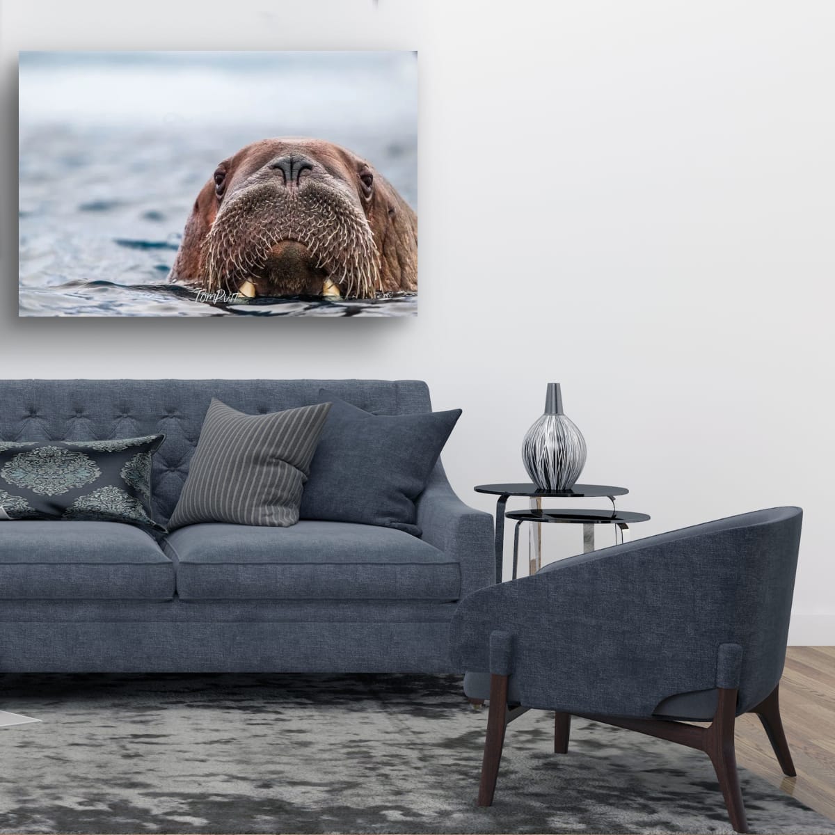 Walrus Approaching, Svalbard