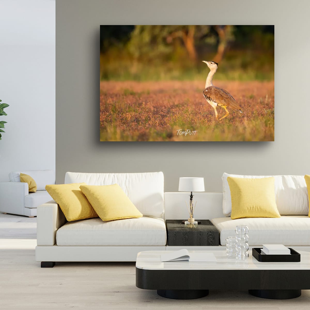 The Stride of the Australian Bustard