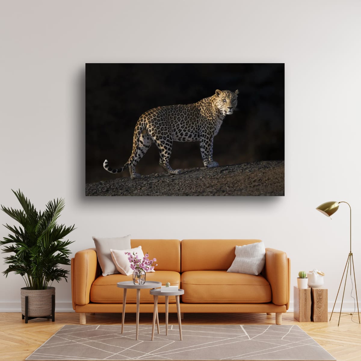 Leopard's Gaze, India